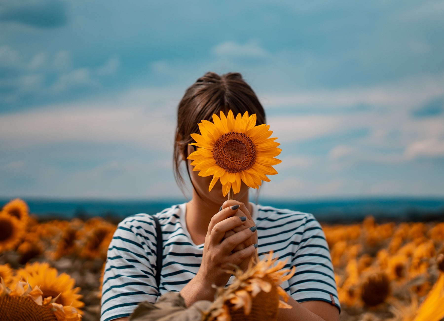 Ode To The Sunflower: A Playlist