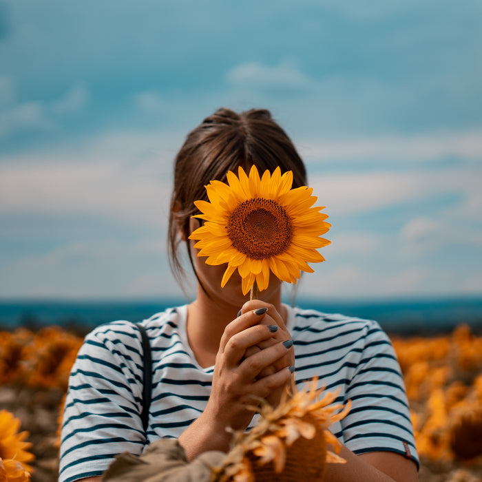 Ode To The Sunflower: A Playlist